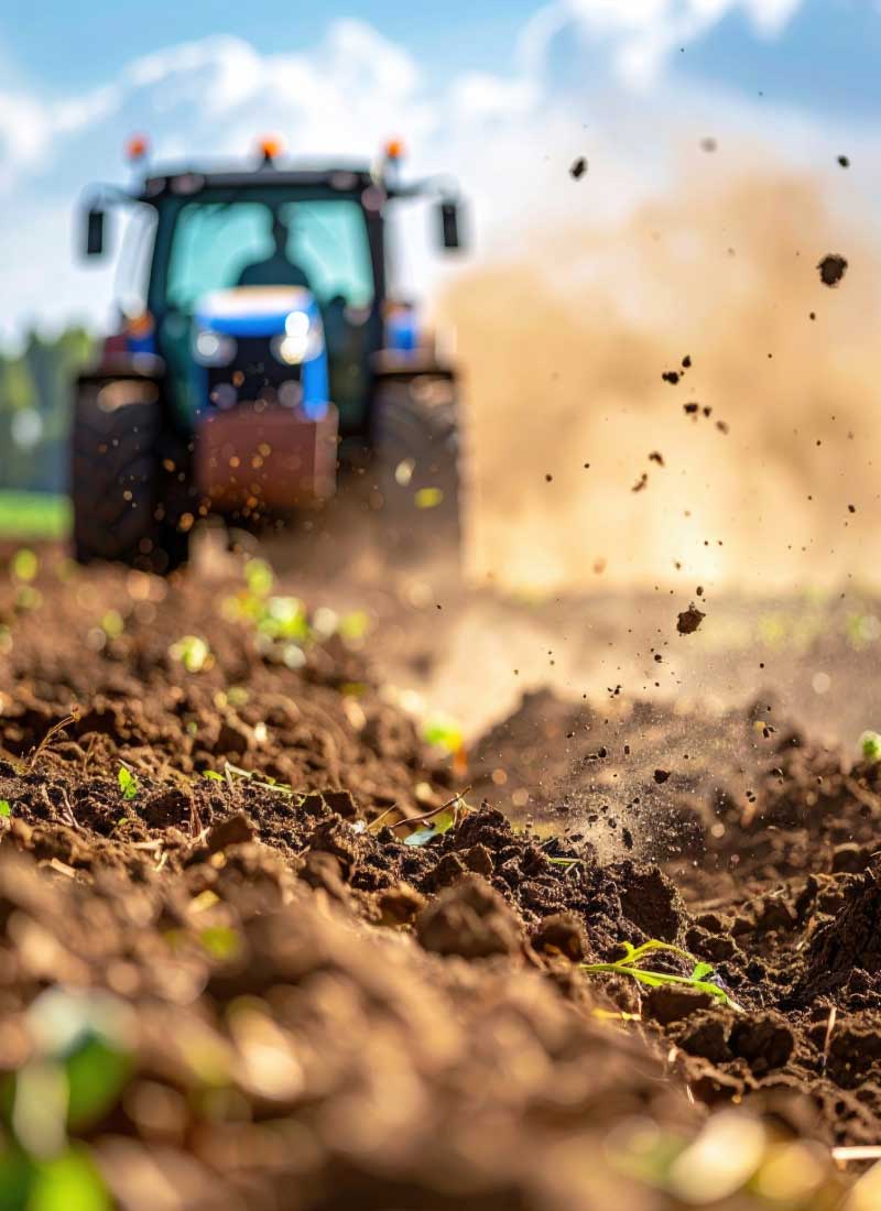 imagen nutrición y asesoramiento deportivo en Valladolid